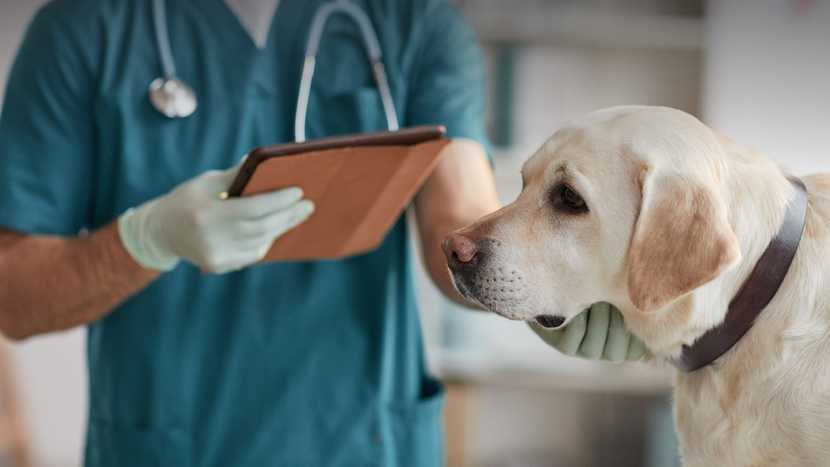 veterinary-buying-group-rebates-benefits-discounts-vetshare